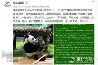 熊猫村最新爆料大赛,揭秘神秘事件，竞猜大奖等你来拿！  第3张