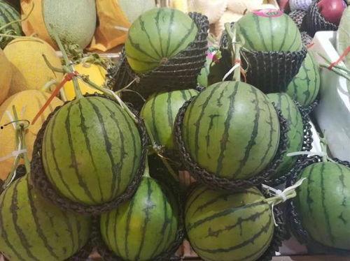 一元免费吃瓜,夏日狂欢盛宴来袭! 第3张 一元免费吃瓜,夏日狂欢盛宴来袭! 第3张